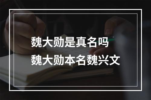 魏大勋是真名吗 魏大勋本名魏兴文