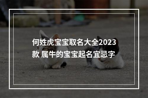 何姓虎宝宝取名大全2023款 属牛的宝宝起名宜忌字