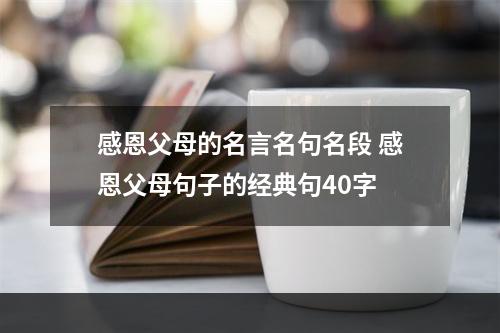 感恩父母的名言名句名段 感恩父母句子的经典句40字