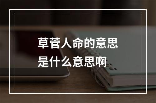 草菅人命的意思是什么意思啊