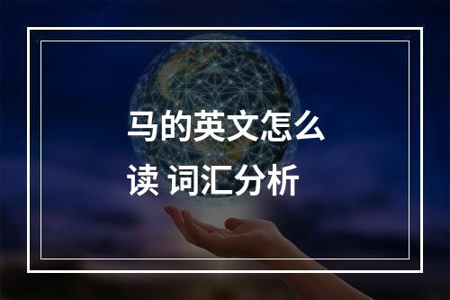 马的英文怎么读 词汇分析