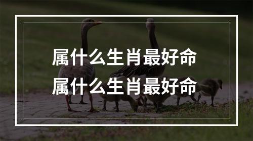 属什么生肖最好命 属什么生肖最好命