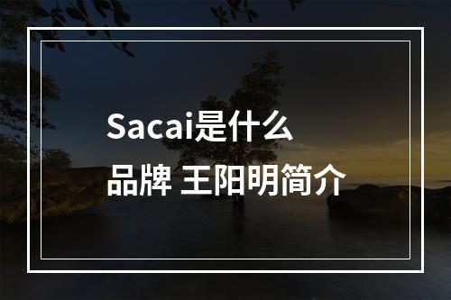 Sacai是什么品牌 王阳明简介