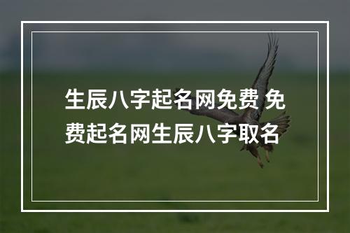 生辰八字起名网免费 免费起名网生辰八字取名