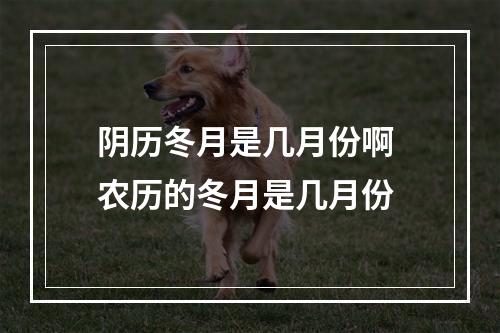 阴历冬月是几月份啊 农历的冬月是几月份