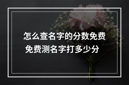 怎么查名字的分数免费 免费测名字打多少分