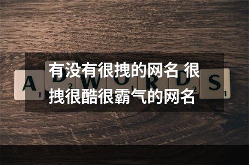 有没有很拽的网名 很拽很酷很霸气的网名