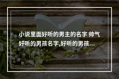 小说里面好听的男主的名字 帅气好听的男孩名字,好听的男孩名字大全