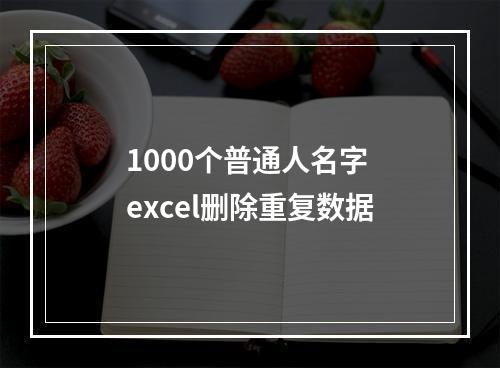 1000个普通人名字 excel删除重复数据