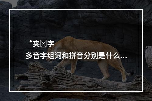 “夹̶字多音字组词和拼音分别是什么 夹字多音字组词和拼音怎么写