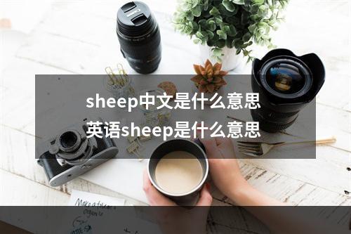 sheep中文是什么意思 英语sheep是什么意思