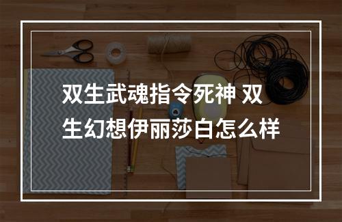 双生武魂指令死神 双生幻想伊丽莎白怎么样