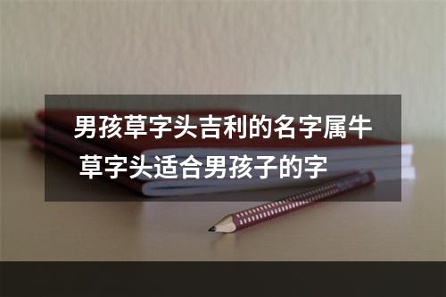 男孩草字头吉利的名字属牛 草字头适合男孩子的字
