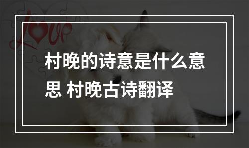 村晚的诗意是什么意思 村晚古诗翻译
