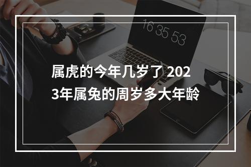 属虎的今年几岁了 2023年属兔的周岁多大年龄