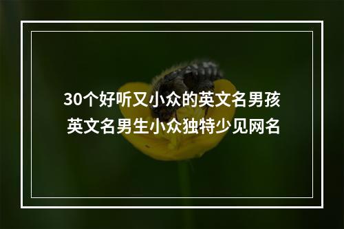 30个好听又小众的英文名男孩 英文名男生小众独特少见网名