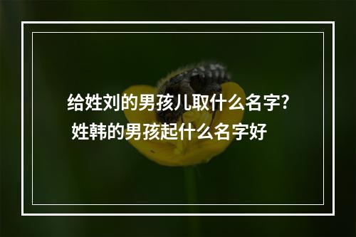 给姓刘的男孩儿取什么名字? 姓韩的男孩起什么名字好