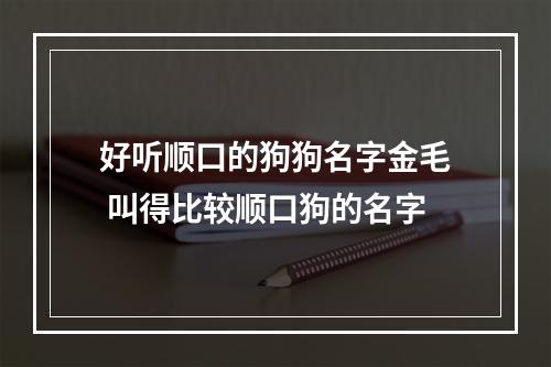 好听顺口的狗狗名字金毛 叫得比较顺口狗的名字