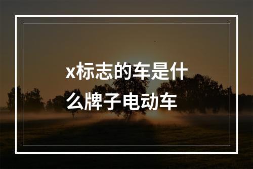 x标志的车是什么牌子电动车