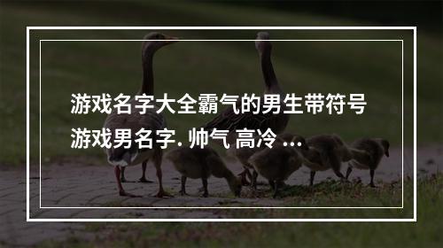 游戏名字大全霸气的男生带符号 游戏男名字. 帅气 高冷 霸气