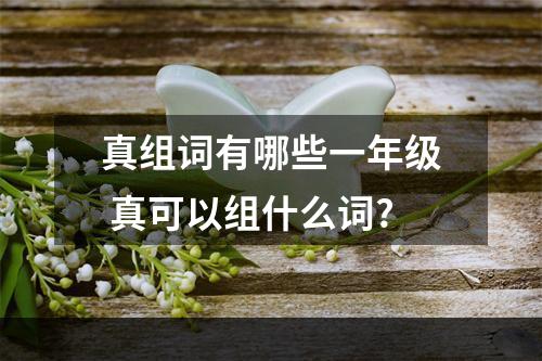 真组词有哪些一年级 真可以组什么词?
