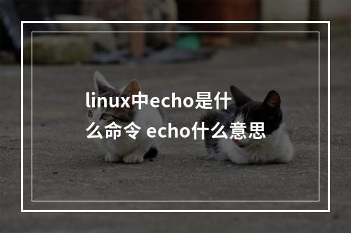 linux中echo是什么命令 echo什么意思