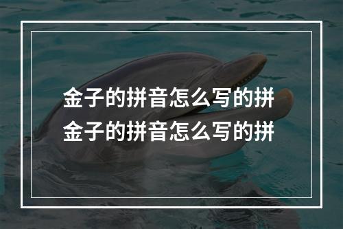 金子的拼音怎么写的拼 金子的拼音怎么写的拼