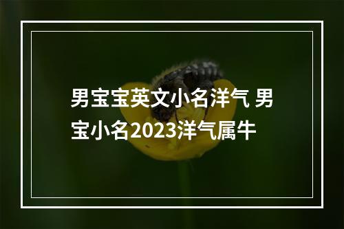 男宝宝英文小名洋气 男宝小名2023洋气属牛