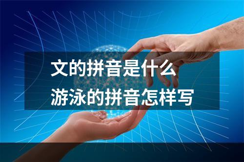 文的拼音是什么 游泳的拼音怎样写