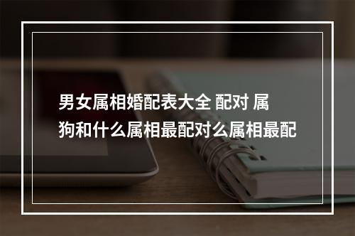 男女属相婚配表大全 配对 属狗和什么属相最配对么属相最配