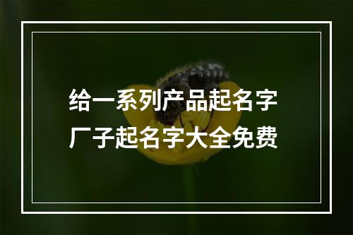 给一系列产品起名字 厂子起名字大全免费