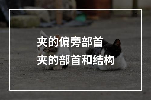 夹的偏旁部首 夹的部首和结构