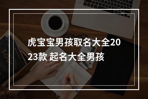 虎宝宝男孩取名大全2023款 起名大全男孩