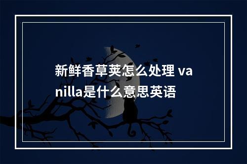 新鲜香草荚怎么处理 vanilla是什么意思英语