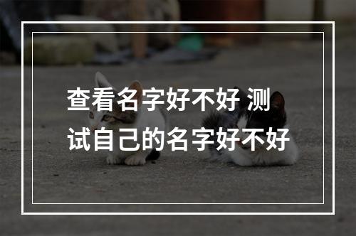 查看名字好不好 测试自己的名字好不好