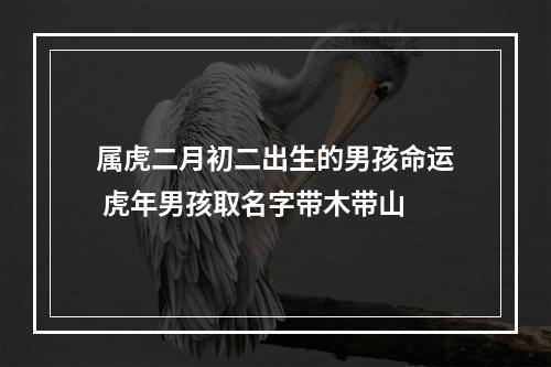 属虎二月初二出生的男孩命运 虎年男孩取名字带木带山