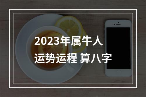 2023年属牛人运势运程 算八字