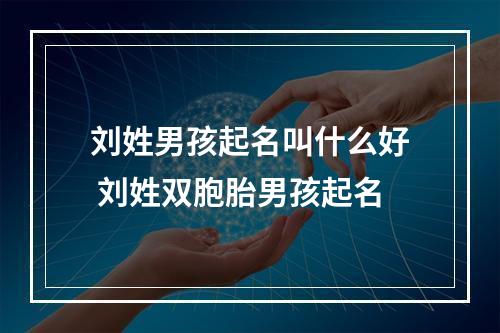 刘姓男孩起名叫什么好 刘姓双胞胎男孩起名