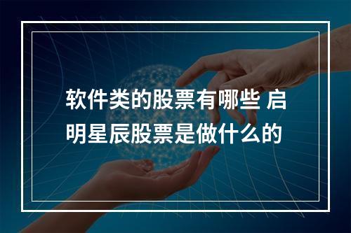 软件类的股票有哪些 启明星辰股票是做什么的