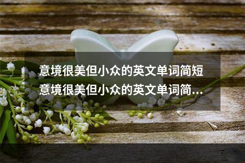 意境很美但小众的英文单词简短 意境很美但小众的英文单词简短