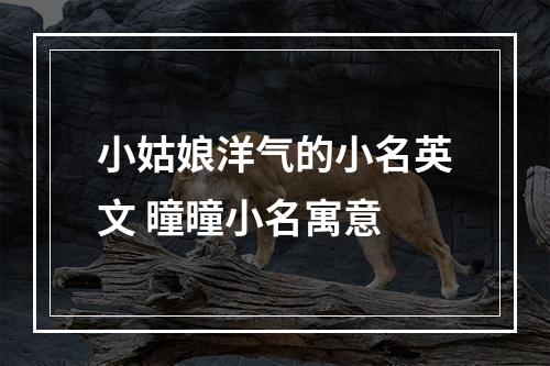 小姑娘洋气的小名英文 曈曈小名寓意