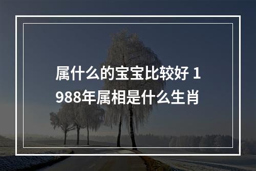 属什么的宝宝比较好 1988年属相是什么生肖