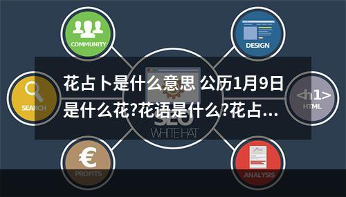 花占卜是什么意思 公历1月9日是什么花?花语是什么?花占卜是什么?