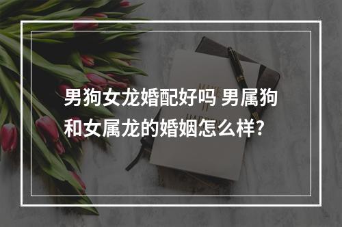 男狗女龙婚配好吗 男属狗和女属龙的婚姻怎么样?