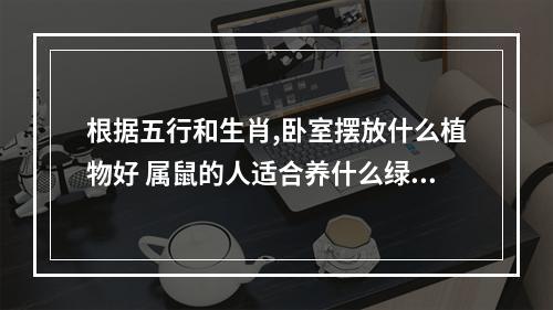 根据五行和生肖,卧室摆放什么植物好 属鼠的人适合养什么绿植