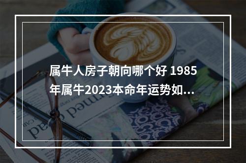 属牛人房子朝向哪个好 1985年属牛2023本命年运势如何 36岁牛年本命年犯太岁如何破解