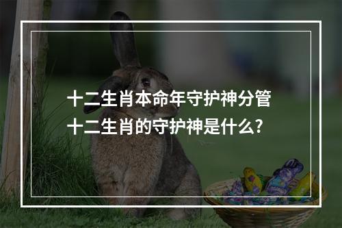 十二生肖本命年守护神分管 十二生肖的守护神是什么?