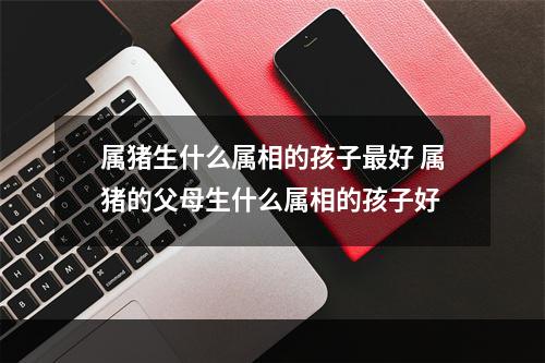 属猪生什么属相的孩子最好 属猪的父母生什么属相的孩子好