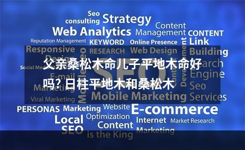 父亲桑松木命儿子平地木命好吗? 日柱平地木和桑松木