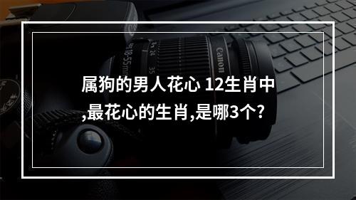 属狗的男人花心 12生肖中,最花心的生肖,是哪3个?